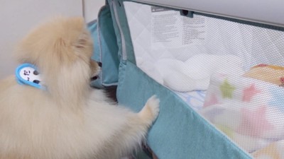 赤ちゃんがベッドから離れても…