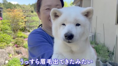 眉毛が出てきた!?