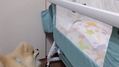 「あれれ?また泣いちゃった」