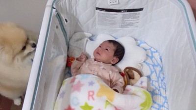 「泣かないで~!」とベッドをホリホリ