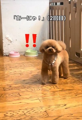 気付いてくれました！