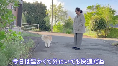 ぽかぽかと暖かい散歩日和