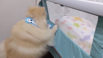 「どうしたの?大丈夫?」