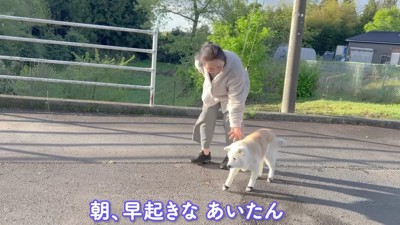 穏やかな朝散歩