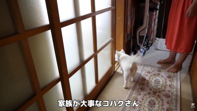 ドアを開けてあげたら中へ…