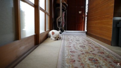 健気な姿が愛おしい♡