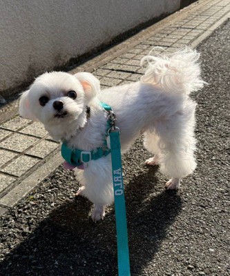 「帰りたくない…」