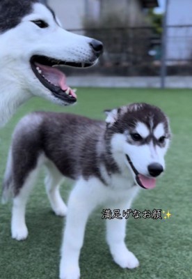 満足そうにニコニコ