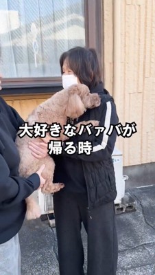 おばあちゃんの方へ身を乗り出す犬