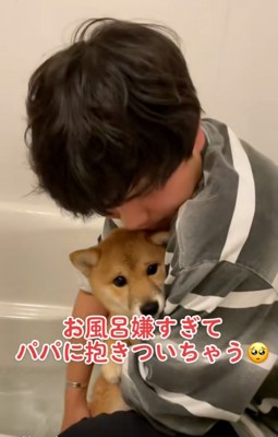 優しいパパ