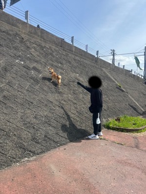 突然