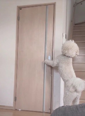 扉も開けられるよ