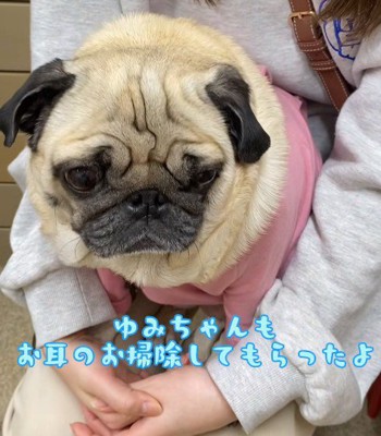 ゆみるちゃんも頑張った♪