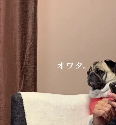 「オワタ…」