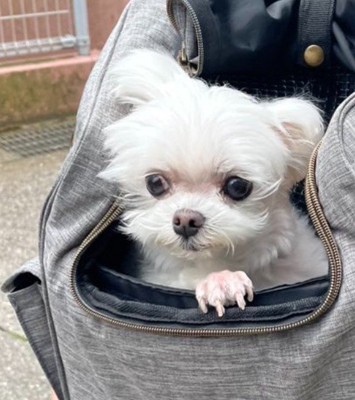 虚無顔に変貌!?