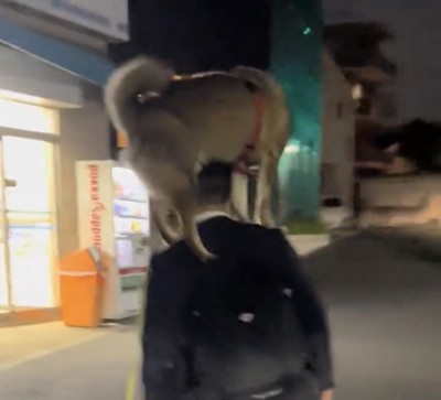 人の首元に乗る犬