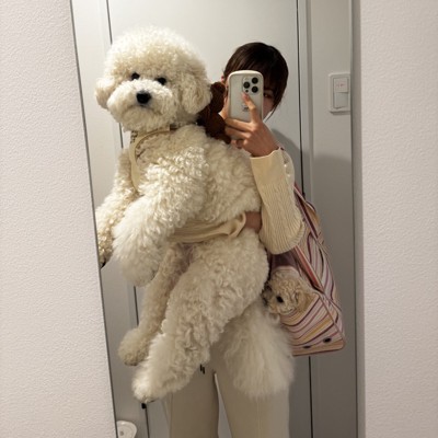いつもの