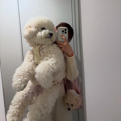 ぬいぐるみ