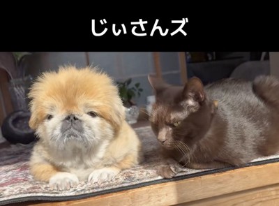 日が当たってぬっくぬく