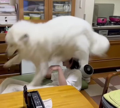 家の中も油断できません
