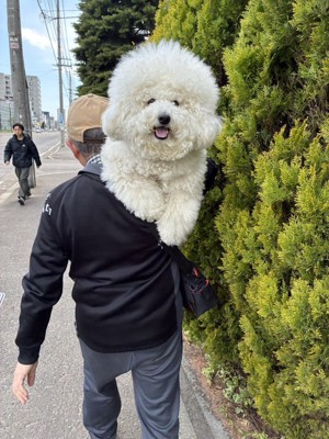 抱っこ