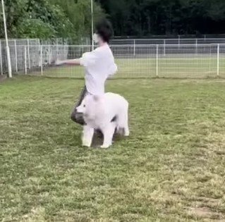 その場に倒れ込んだ！！