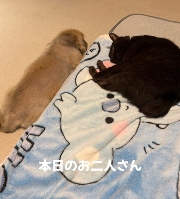 普段から仲良しです