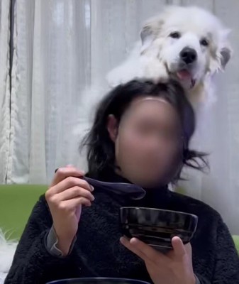 「私を見て！」