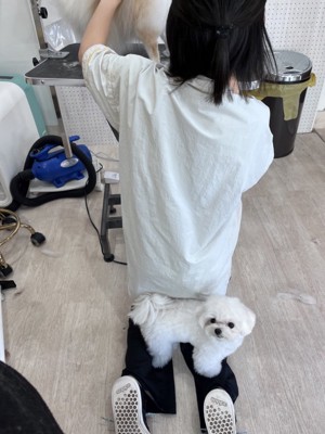 ぴったり