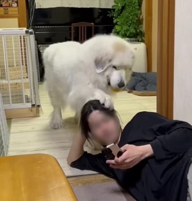 なかなかの重量感…