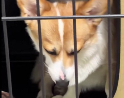 ギャップがすごすぎる…