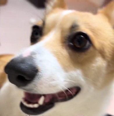 普段はこんなにキュート♡