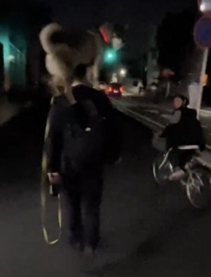 犬を見る自転車の人