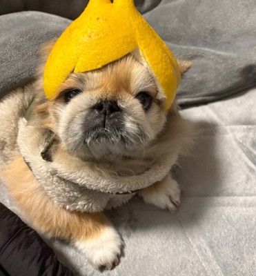 目がしょぼしょぼ…