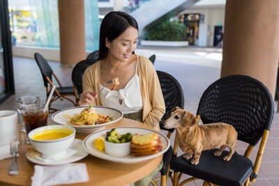 カフェで食事する女性を見る犬