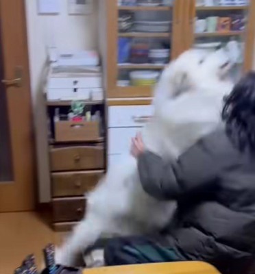 お母さんにも容赦なし