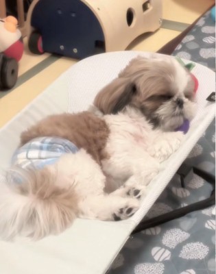 赤ちゃんのような表情のバズくん