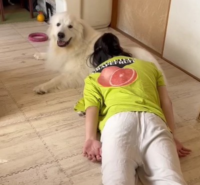 それでも愛おしいドレミちゃん