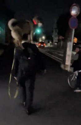 自転車とすれ違う人と犬