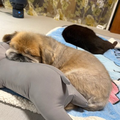 ずっと一緒に元気でいたいね