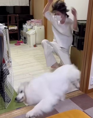 勢いよく足蹴り