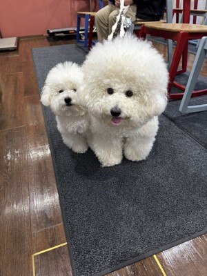 仲良し