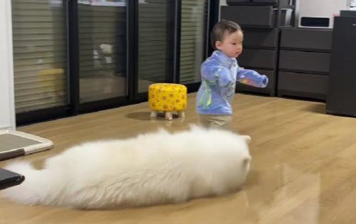 とても子煩悩な性格
