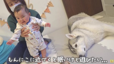 「もうネンネだよ」