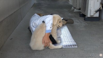 一緒にゴロゴロ…♡