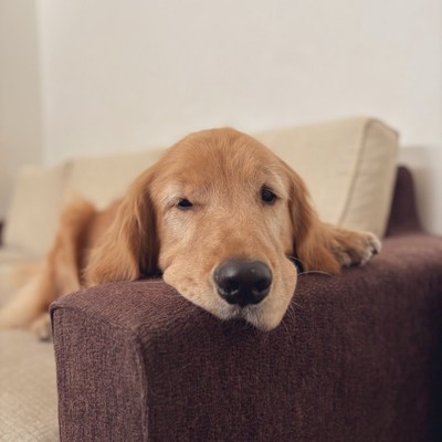 眠い