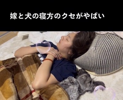 並んで眠る犬と人