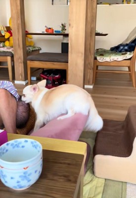 愛を受け止めるおじいちゃん