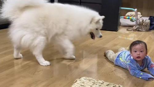 すばやく男の子の元へ