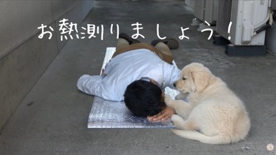 熱を測っている？